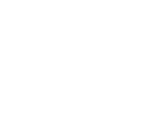 large_enterprise